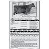 Image 1 : Lot 18 - ICC Bon View Erica 9618 - Flush