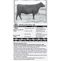 Lot 19 - Basin Lady S532 AK