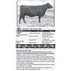 Image 1 : Lot 19 - Basin Lady S532 AK