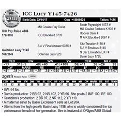 Lot 20B - ICC Lucy Y145-7426