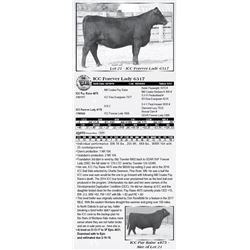 Lot 21 - ICC Forever Lady 6317