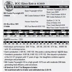Lot 23 - ICC Eisa Erica 6369