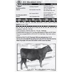 Lot 24 - ICC Blackbird 2956