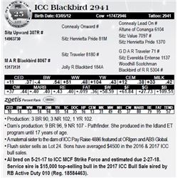 Lot 25 - ICC Blackbird 2941
