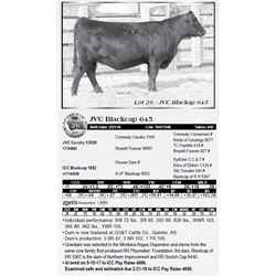 Lot 26 - JVC Blackcap 645