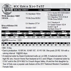 Lot 29A - ICC Erica X16-7457