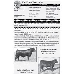 Lot 29B - ICC Erica X16-7458