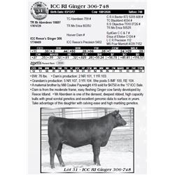 Lot 31 - ICC RI Ginger 306-748