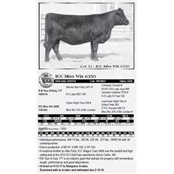 Lot 33 - ICC Miss Wix 6350