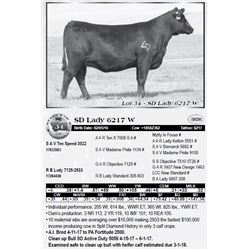 Lot 34 - SD Lady 6217 W