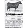 Image 1 : Lot 34 - SD Lady 6217 W