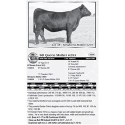 Lot 38 - SD Queen Mother 6293