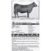 Image 1 : Lot 38 - SD Queen Mother 6293
