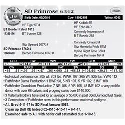 Lot 39 - SD Primrose 6342