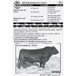 Lot 40 - SD Enchantress 6363