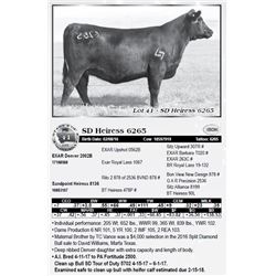 Lot 41 - SD Heiress 6265