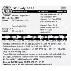 Lot 42 - SD Lady 6289