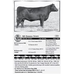 Lot 43 - SD Emma 5069