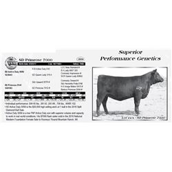 Lot 44A - SD Primrose 7000