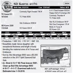 Lot 45 - SD Karen 4076