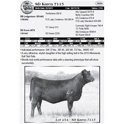 Lot 45A - SD Karen 7115