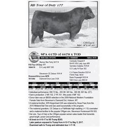 Lot 46 - SPA 617D of 6678 x TOD