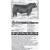 Image 1 : Lot 46 - SPA 617D of 6678 x TOD