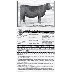 Lot 47 - Circle L Lady 100E