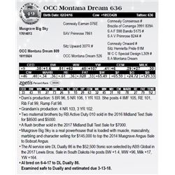 Lot 49 - OCC Montana Dream 636