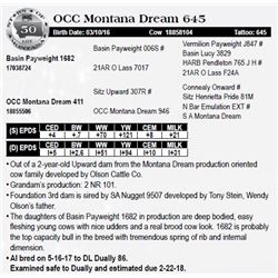Lot 50 - OCC Montana Dream 645