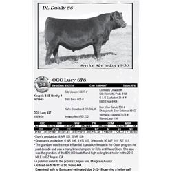 Lot 51 - OCC Lucy 678