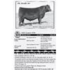Image 1 : Lot 51 - OCC Lucy 678