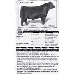 Lot 52 - OCC Montana Dream 630