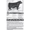 Image 1 : Lot 52 - OCC Montana Dream 630