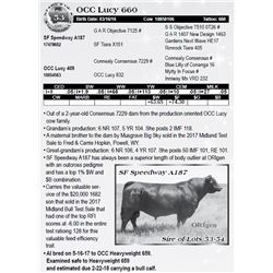Lot 53 - OCC Lucy 660
