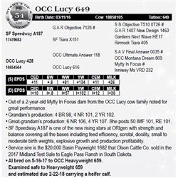 Lot 54 - OCC Lucy 649