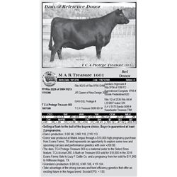 Lot 55 - M A R Treasure 1601 - Flush