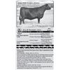Image 1 : Lot 55 - M A R Treasure 1601 - Flush