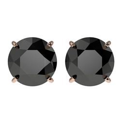 3.70 CTW Fancy Black VS Diamond Solitaire Stud Earrings 10K Rose Gold - REF-90Y4N - 36704