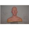 Image 1 : FEMALE PAINT TEST BUST FOR DISPLAY