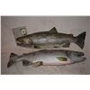 Image 1 : THE THREE STOOGES SCREEN MATCHED SALMONS