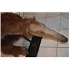 Image 2 : KINGDOM HOSPITAL STEPHEN KING SCREEN MATCHED HERO ANTEATER ANIMATRONIC PUPPET COSTUME