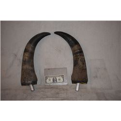 ZZ-CLEARANCE BULL STEER BUFFALO BISON MATCHED PAIR OF HORNS 1