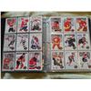 Image 1 : 1993 o-pee-chee hockey cards in album