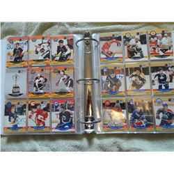 1990 pro set album of hockey cards