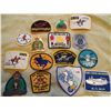 Image 1 : 15 RCMP patches