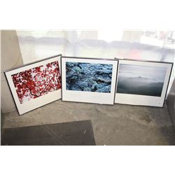 THREE FRAMED PRINTS