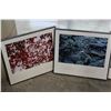 Image 3 : THREE FRAMED PRINTS