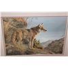 Image 2 : EVENING CALM COYOTE 24545
