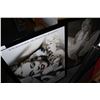 Image 2 : TWO MARILYN MONROE PRINTS
